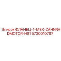 5730010797 ФЛАНЕЦ-1-МЕХ-ZAHNRADMOTOR-HS1 Epiroc