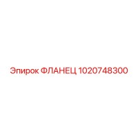 1020748300 ФЛАНЕЦ Epiroc