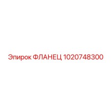 1020748300 ФЛАНЕЦ Epiroc