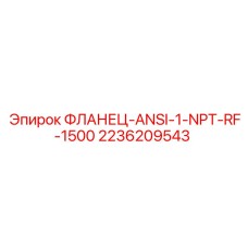 2236209543 ФЛАНЕЦ-ANSI-1-NPT-RF-1500 Epiroc