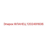 1202491606 ФЛАНЕЦ Epiroc