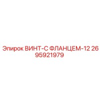 2695921979 ВИНТ-С ФЛАНЦЕМ-12 - Epiroc