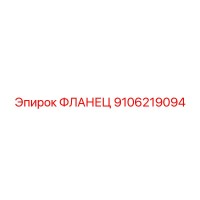 9106219094 ФЛАНЕЦ Epiroc