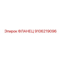 9106219096 ФЛАНЕЦ Epiroc