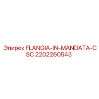 2202260543 FLANGIA-IN-MANDATA-CSC Epiroc