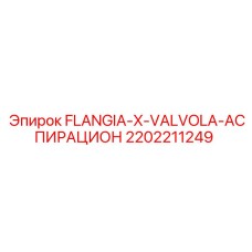 2202211249 FLANGIA-X-VALVOLA-АСПИРАЦИОН Epiroc