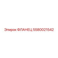 5580021542 ФЛАНЕЦ Epiroc