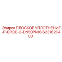 6231629400 ПЛОСКОЕ УПЛОТНЕНИЕ-P-BRIDE-2-DN50PN16 Epiroc