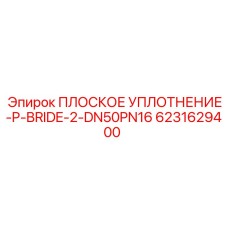 6231629400 ПЛОСКОЕ УПЛОТНЕНИЕ-P-BRIDE-2-DN50PN16 Epiroc