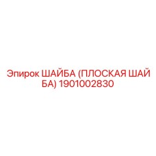 1901002830 ШАЙБА (ПЛОСКАЯ ШАЙБА) Epiroc