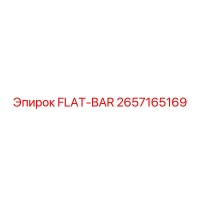 2657165169 FLAT-BAR | Epiroc
