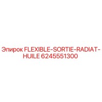6245551300 FLEXIBLE-SORTIE-RADIAT-HUILE Эпирок