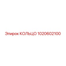 1020602100 КОЛЬЦО Эпирок