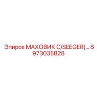 8973035828 МАХОВИК C/SEEGER Epiroc