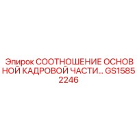 GS15852246 СООТНОШЕНИЕ ОСНОВНОЙ КАДРОВОЙ ЧАСТИ Epiroc