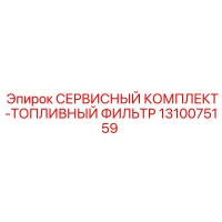 1310075159 СЕРВИСНЫЙ КОМПЛЕКТ-ТОПЛИВНЫЙ ФИЛЬТР Epiroc
