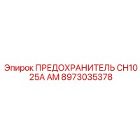 8973035378 ПРЕДОХРАНИТЕЛЬ CH10 25A AM Epiroc