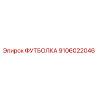 9106022046 ФУТБОЛКА Epiroc