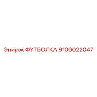 9106022047 ФУТБОЛКА Epiroc