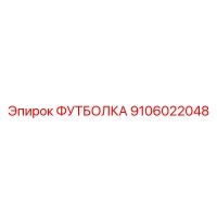 9106022048 ФУТБОЛКА Epiroc
