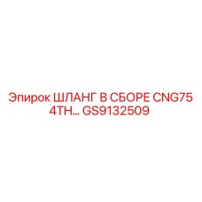 GS9132509 Шланг в сборе CNG75 4TH Epiroc