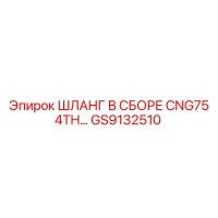 GS9132510 Шланг в сборе CNG75 4TH Epiroc