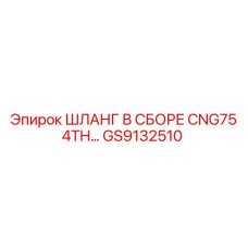 GS9132510 Шланг в сборе CNG75 4TH Epiroc