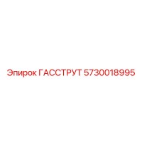 5730018995 ГАССТРУТ Epiroc