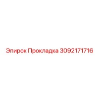 3092171716 Прокладка Эпирок