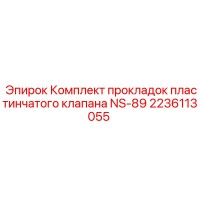 2236113055 Комплект прокладок пластинчатого клапана NS-89 Epiroc