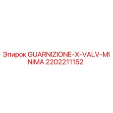 2202211152 GUARNIZIONE-X-VALV-MINIMA Epiroc
