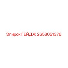 2658051376 ГЕЙДЖ Epiroc