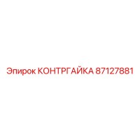 87127881 КОНТРГАЙКА Epiroc