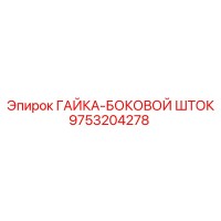 9753204278 ГАЙКА-БОКОВОЙ ШТОК Epiroc