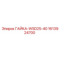 1613924700 ГАЙКА-WSD25-40 Epiroc