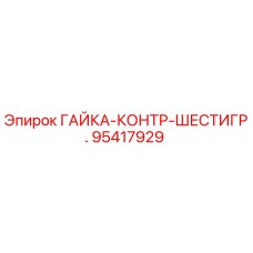 95417929 ГАЙКА-КОНТР-ШЕСТИГР. Epiroc