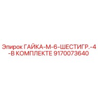 9170073640 ГАЙКА-M-6-ШЕСТИГР.-4-В КОМПЛЕКТЕ Epiroc