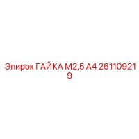 261109219 ГАЙКА М2,5 А4 Epiroc