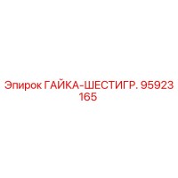 95923165 ГАЙКА-ШЕСТИГР. Epiroc