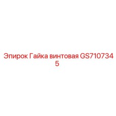 GS7107345 Гайка винтовая Epiroc