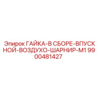 9900481427 ГАЙКА-В СБОРЕ-ВПУСКНОЙ-ВОЗДУХО-ШАРНИР-M1 Epiroc