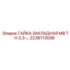 2236113598 Гайка закладная M8 TH 3.3 Epiroc