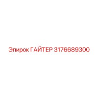 3176689300 ГАЙТЕР Epiroc