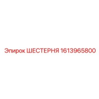 1613965800 ШЕСТЕРНЯ Epiroc