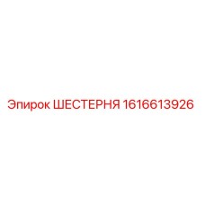 1616613926 ШЕСТЕРНЯ Epiroc