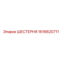 1616620711 ШЕСТЕРНЯ Epiroc