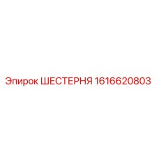 1616620803 ШЕСТЕРНЯ - Epiroc