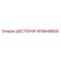 1616648809 ШЕСТЕРНЯ Epiroc