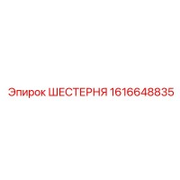 1616648835 ШЕСТЕРНЯ Epiroc
