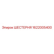 1622005400 ШЕСТЕРНЯ Epiroc